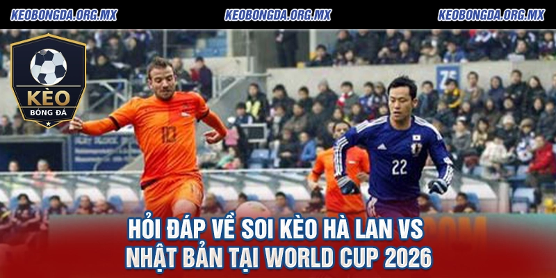 Hỏi đáp về soi kèo Hà Lan vs Nhật Bản tại World Cup 2026