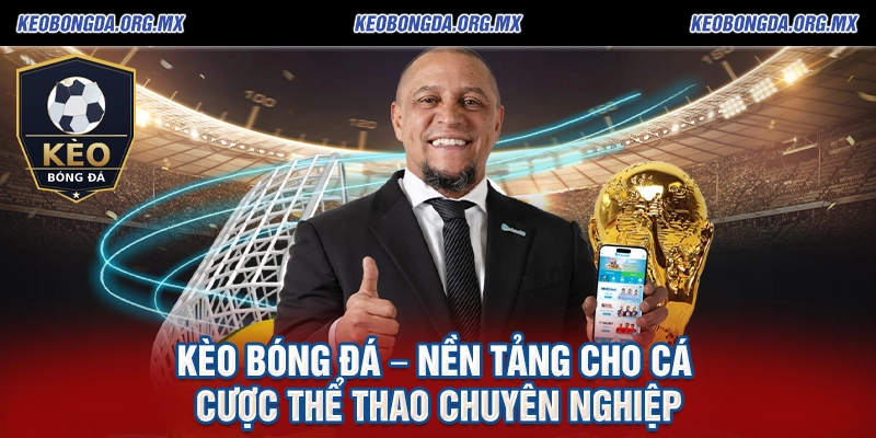 Keobongda Org ⭐ Kèo Bóng Đá, Tỷ Lệ Kèo Nhà Cái Hôm Nay Trực Tuyến 2026 17 Kèo Bóng Đá – Nền Tảng Cho Cá Cược Thể Thao Chuyên Nghiệp