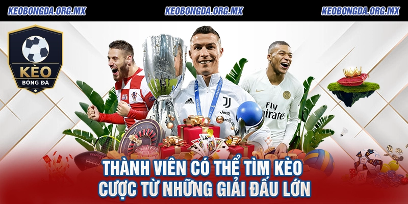 Thành viên có thể tìm kèo cược từ những giải đấu lớn